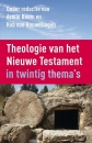 Productafbeelding Theologie van het nieuwe testament