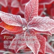 Productafbeelding Kerstkaart winterblad fijne kerstdagen en...