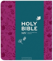 Productafbeelding NIV - Journaling Bible With Clasp