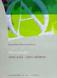 Productafbeelding Studiebijbel 13 Woordstudies 3 (1996-2985)